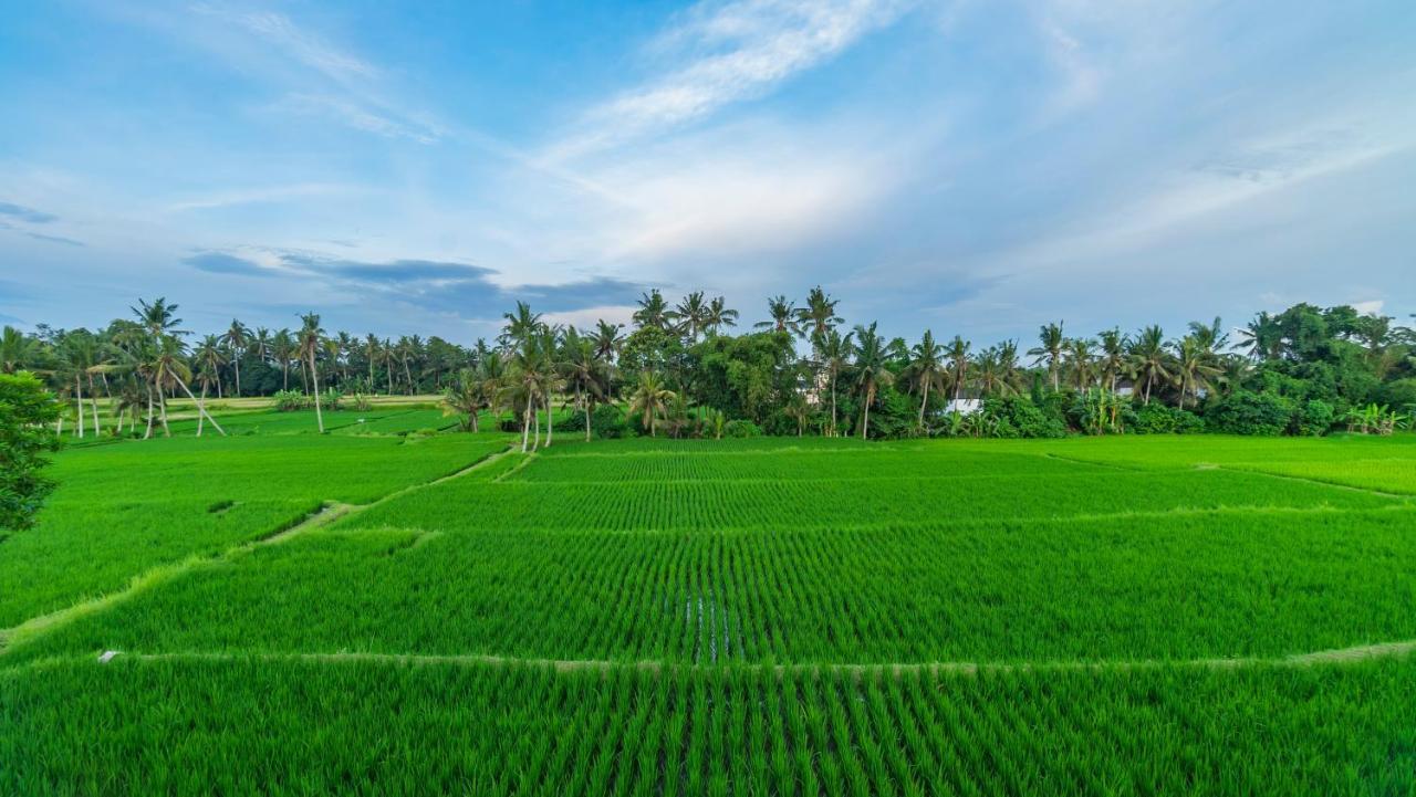 Apartamento Maruan Sari Ubud Exterior foto